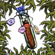 4224