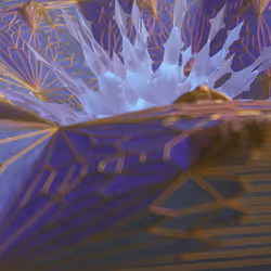 70