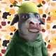 4797