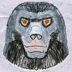 55
