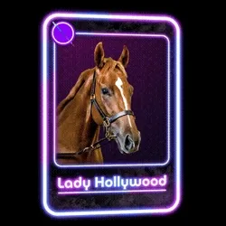Lady Hollywood Jockey Club #90