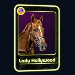Lady Hollywood Jockey Club #4