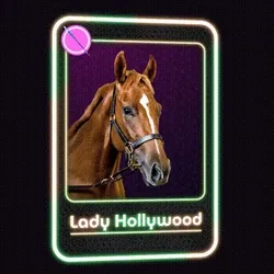 Lady Hollywood Jockey Club #25