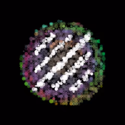 FakeRareDecal Nebuloid #61