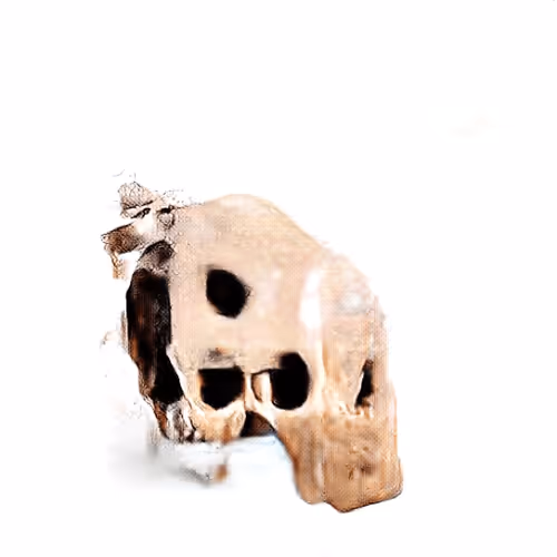 Maxonbollocks