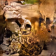 2645
