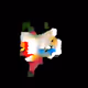 1011