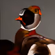 427
