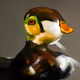426