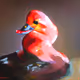 605