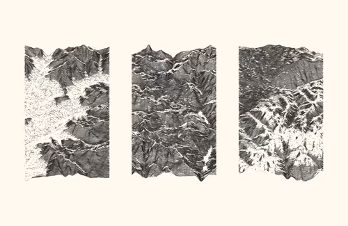 Item #2288918140 Media