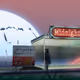 5306