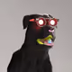 602