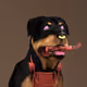 272