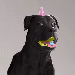 K9 #157