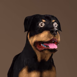 K9 #844
