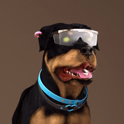 K9 #41
