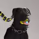 527