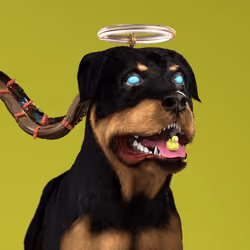 K9 #335