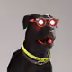 1067
