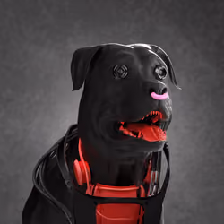 K9 #743