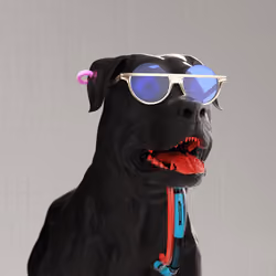 K9 #154