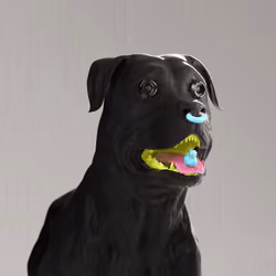 K9 #332