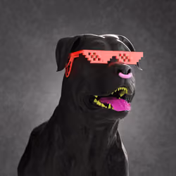 K9 #134