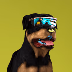 K9 #380