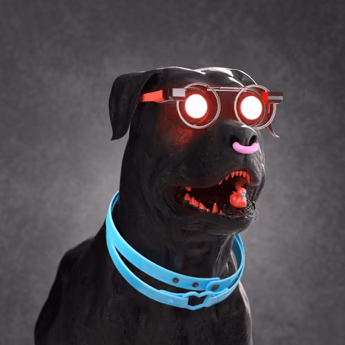 K9 #893