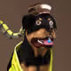 525