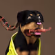 634