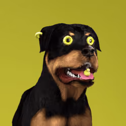 K9 #989