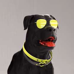 K9 #696