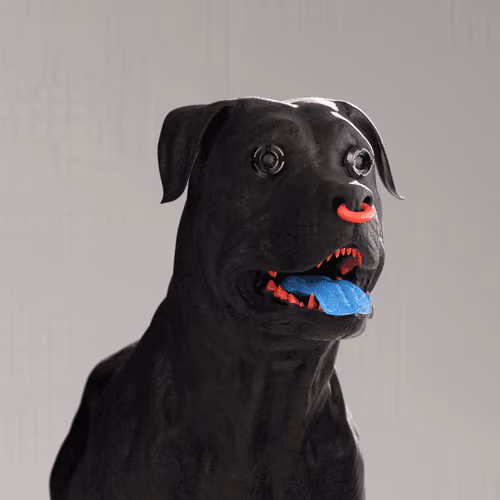 K9 #841