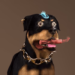 K9 #887