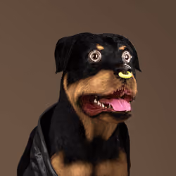 K9 #1068