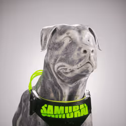 K9 #231