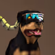 80