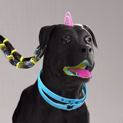 K9 #513