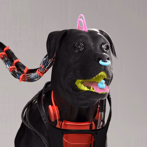K9 #892