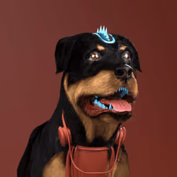 K9 #333