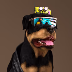 K9 #379