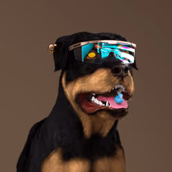 K9 #51