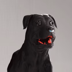 K9 #643
