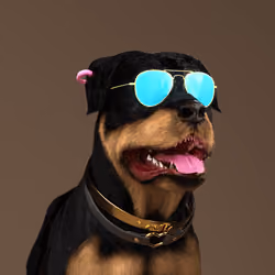 K9 #37