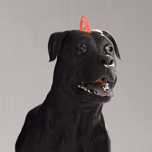 K9 #529