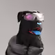 351