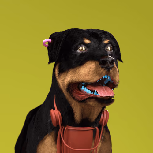 K9 #478