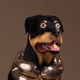 1035